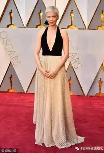 假如爱乐之城参加了第67届奥斯卡1995