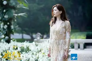 好先生再曝海报江疏影爱情捕手攻获孙红雷