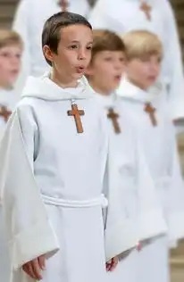 巴黎男童合唱团天使之音演绎放牛班的春天
