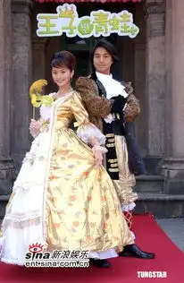 什么电视剧,台湾的偶像剧