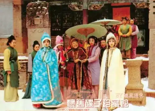 蒋勋细说红楼梦第五十回
