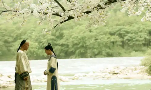 刘恺威的这10部电视剧,第1部千金女贼,对最后1部印象深刻