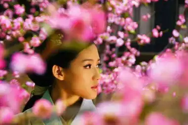 云中歌剧照苏青唯美出镜楚楚动人