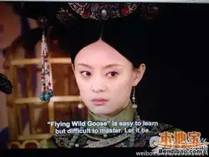 美版甄嬛传翻译盘点再翻译成国语笑死人