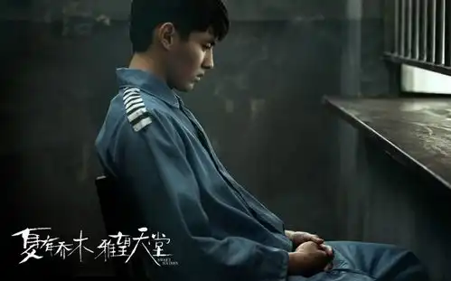 娱乐明星陨落,奥运明星升起