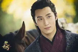 楚乔传这男主的盛世美颜我先舔屏了