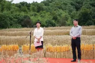 风吹麦浪有我农耕的身影,滨江区中小学生有了劳动实践教育基地