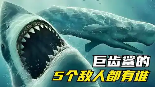 巨齿鲨有史以来最大的5个敌人,它们是谁