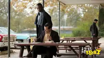 绿皮书多看几遍后就能领悟里面的道理免费在线观看
