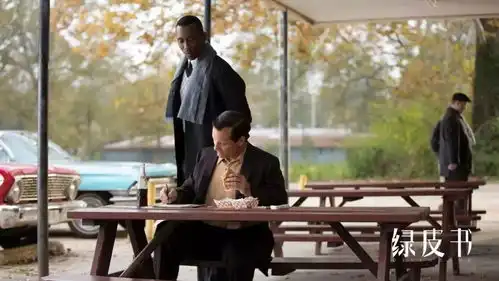 奥斯卡最佳影片绿皮书3月1日上映
