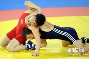 自由式摔跤图册