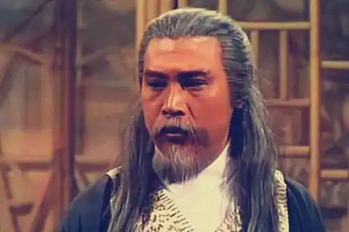 长大才懂,为何神雕中欧阳锋谁都打不过了,你看他从第1下滑到第几