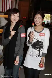 组图法证先锋iii开机徐子珊吴卓羲等出席