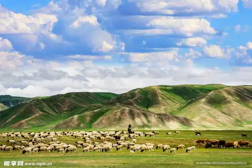 高清草原羊群图设计图自然风光