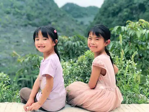 现实版忠犬八公故事,小黄狗每天接送6岁留守小妹妹上学和放学