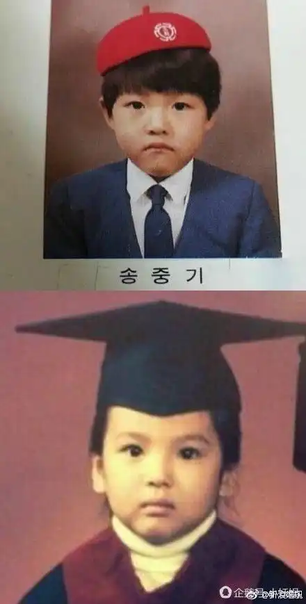 双宋夫妻婚礼现场像偶像剧,宋仲基宋慧乔从小就有夫妻相啊

