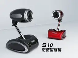 蓝色妖姬冬日杯感关怀41赠送保温水杯