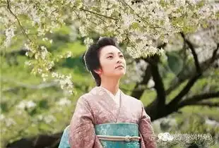 2017毒剧霸屏,太子妃导演能否再次打造古装爆款