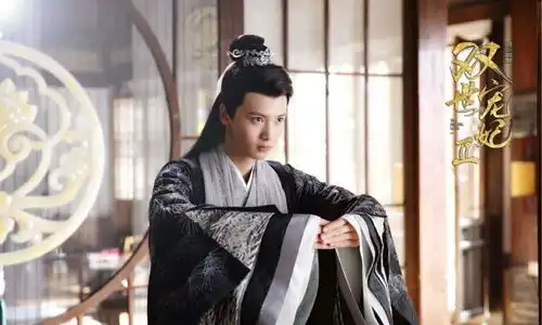 陈宥维延禧攻略被熟知,男团选秀走红,如今资源甚好