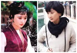87版红楼梦演员的今昔对比照谁的变化最大
