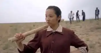 平凡的世界秀莲成择妻标准赞中国好婆姨