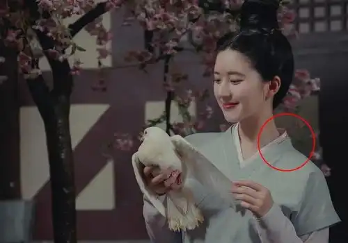 长歌行剧照来袭,三配角手捧鸽子引热议,网友暗藏深意