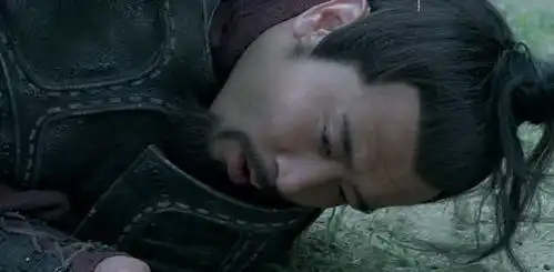 此人为刘璋手下第一猛将,武力不输张飞,不死赵云无缘五虎上将
