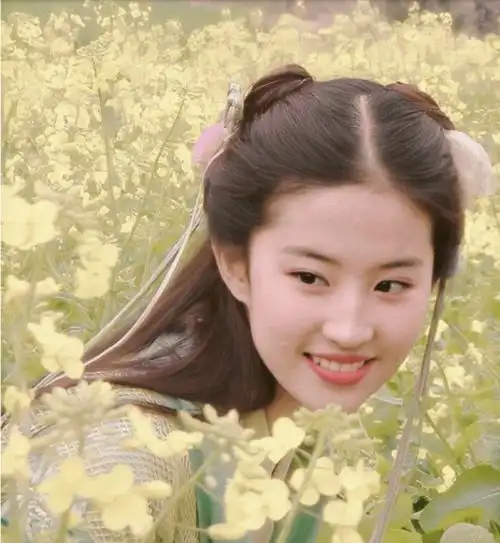 梦华录杀青,又是神仙阵容,网友好奇刘亦菲是否能回巅峰