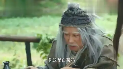 射雕英雄传洪七公瞧不起黄蓉做的菜,谁料尝了一口后,惨遭打脸
