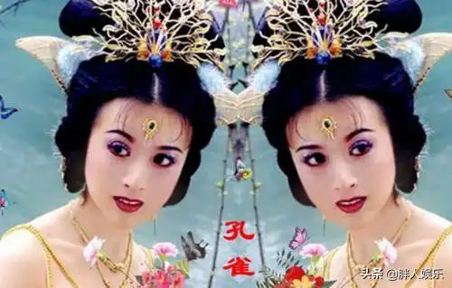 孔雀公主金巧巧24年上位史,以及她背后的2个男人
