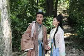 09年tvb重磅剧集宫心计剧照欣赏21
