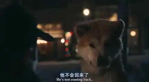 发现忠犬八公真的好哭啊,哭死了