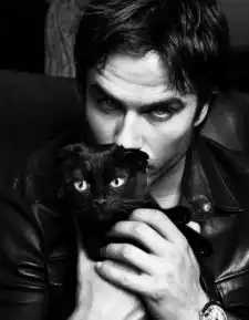 胡歌霍建华王凯帅出天际的书生气型男们