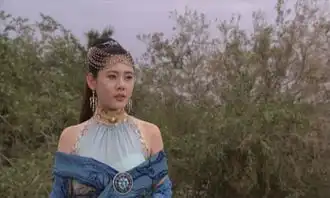 一套戏服主配轮流穿范冰冰杨幂撞衫必有一丑