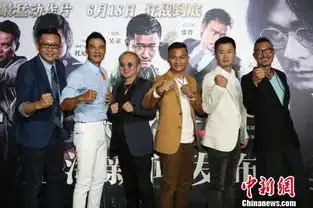 杀破狼2拳霸托尼贾搏斗战狼吴京