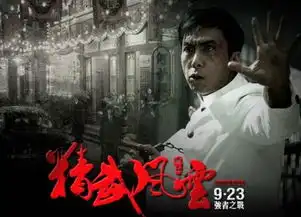 精武风云陈真
