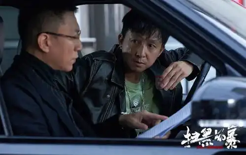 扫黑风暴全集疑似被泄露,网友喊话剧方快维权