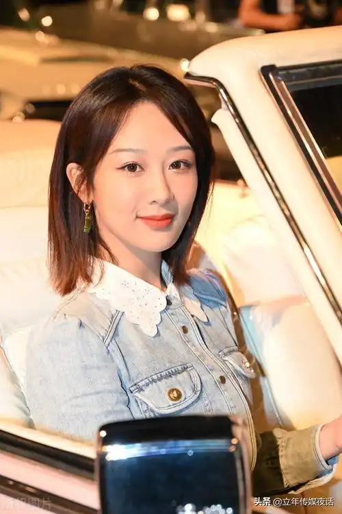 杨紫战长沙,亲爱的热爱的和家有儿女的孝庄秘史
