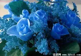 十二星座花语故事及来生缘星座配对八
