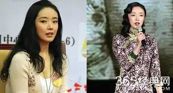 国家公祭日,金陵十三钗,那十二钗都去了哪里
