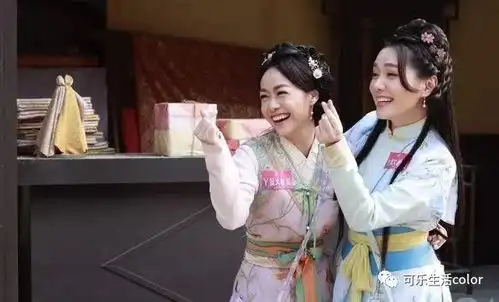 加速版延禧攻略魏璎珞新作皓镧传你睇咗未
