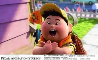 洮南书城本周日免费播放电影飞屋环游记
