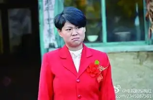 小沈阳的老婆的照片