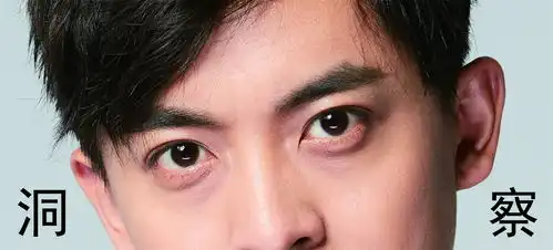 爱情公寓张伟全套照片高清无水印