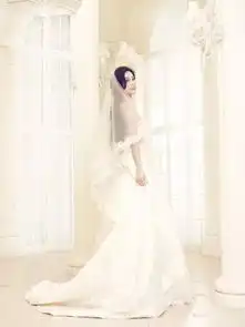 范冰冰李晨婚纱照曝光,太美了
