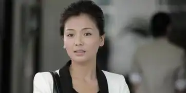 贤妻刘涛遭遇家庭暴力逆来顺受