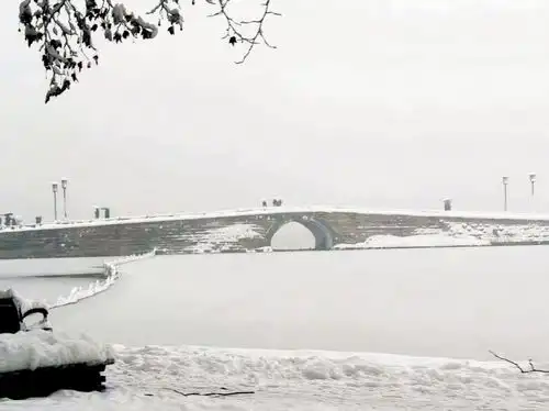 他是林青霞的男神,77岁全网爆红