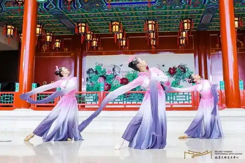 诗意生活节天桥艺术中心舞蹈团演出回顾