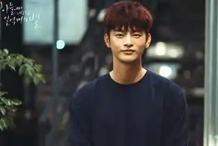 徐仁国新剧一亿颗星星网络视频播放量居首
