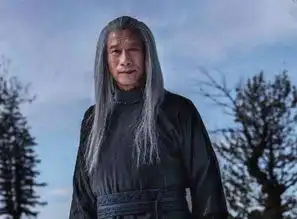 将夜李慢慢终于学会打架,一步杀一人,靠夫子木棍拦观主七日

